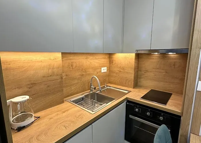 公寓 Blin Underground Parking Available